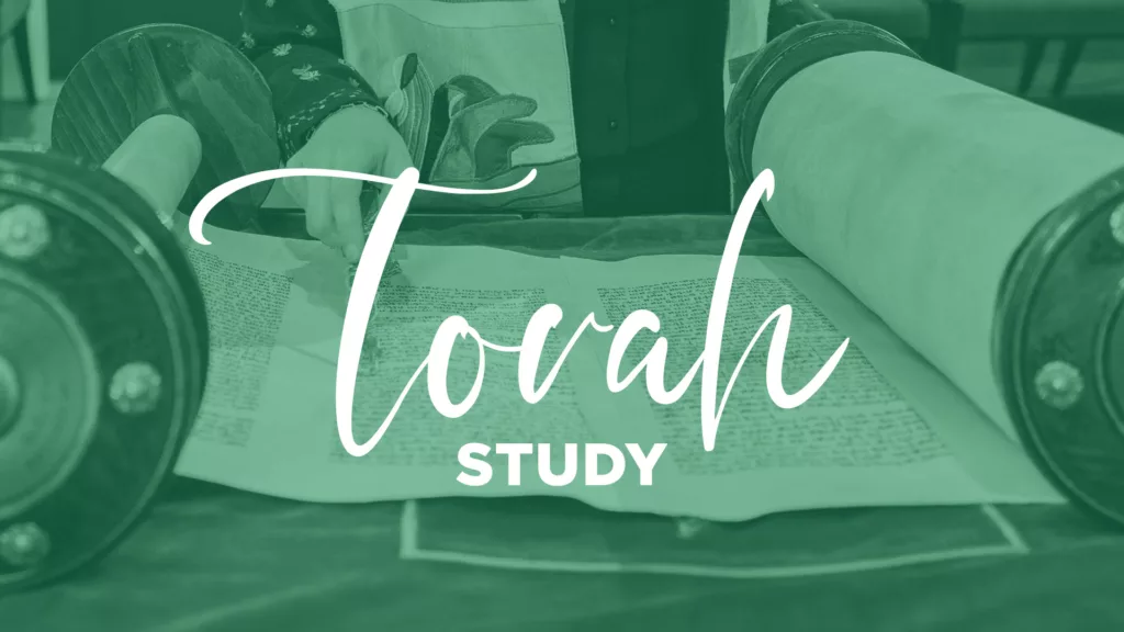 Torah_Study