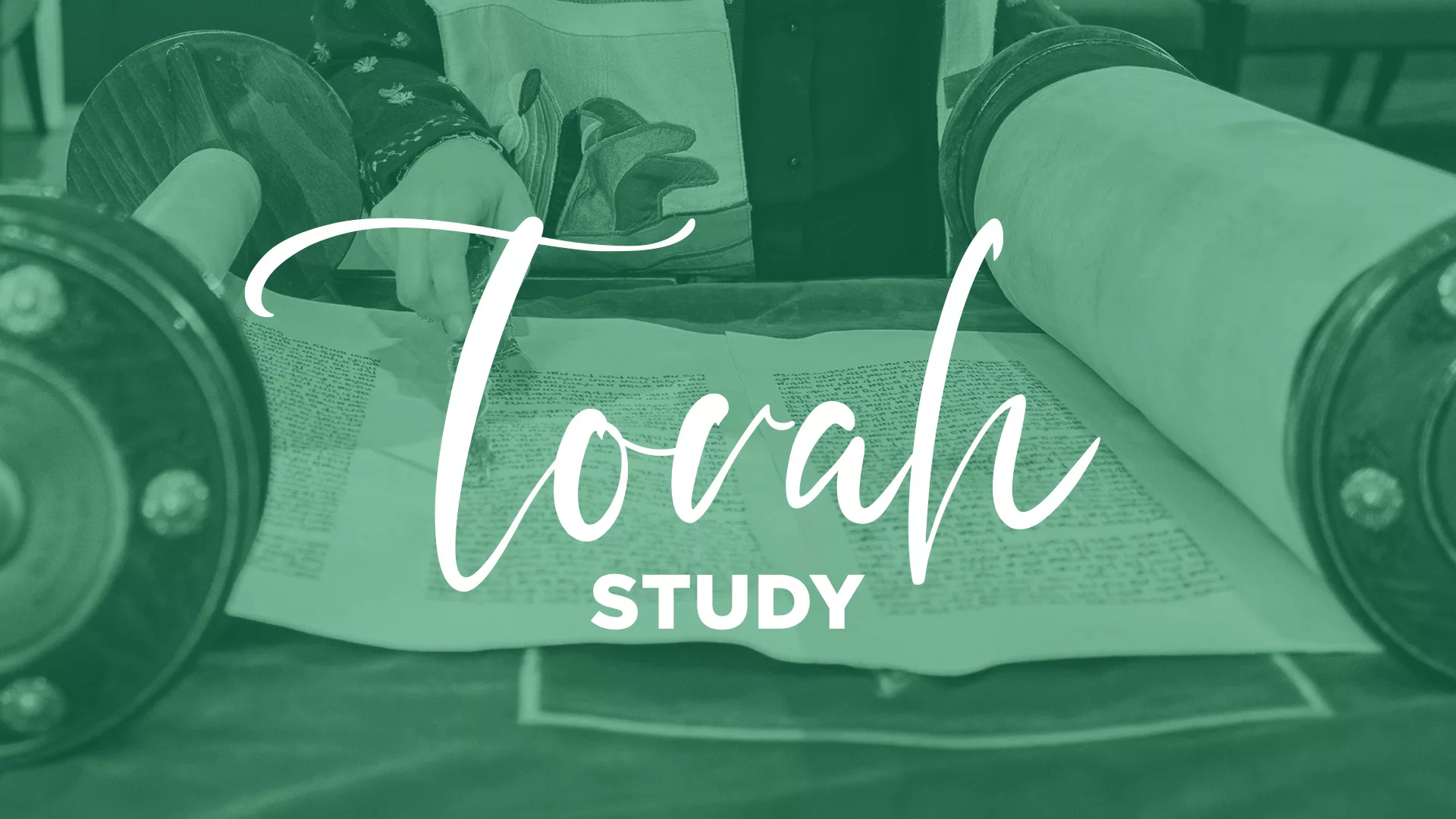 Torah Study New Graphic