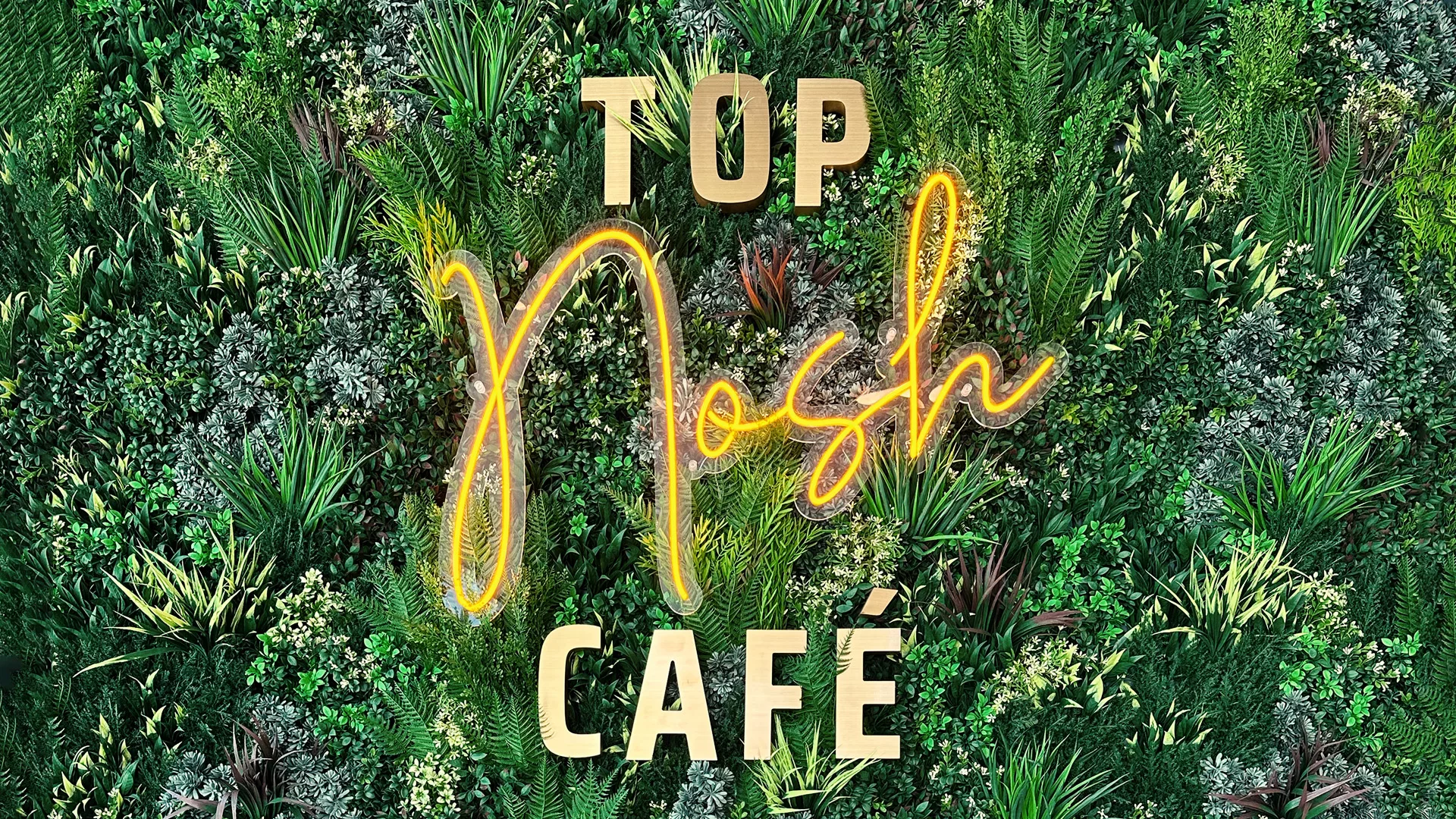 Top Nosh Cafe Banner