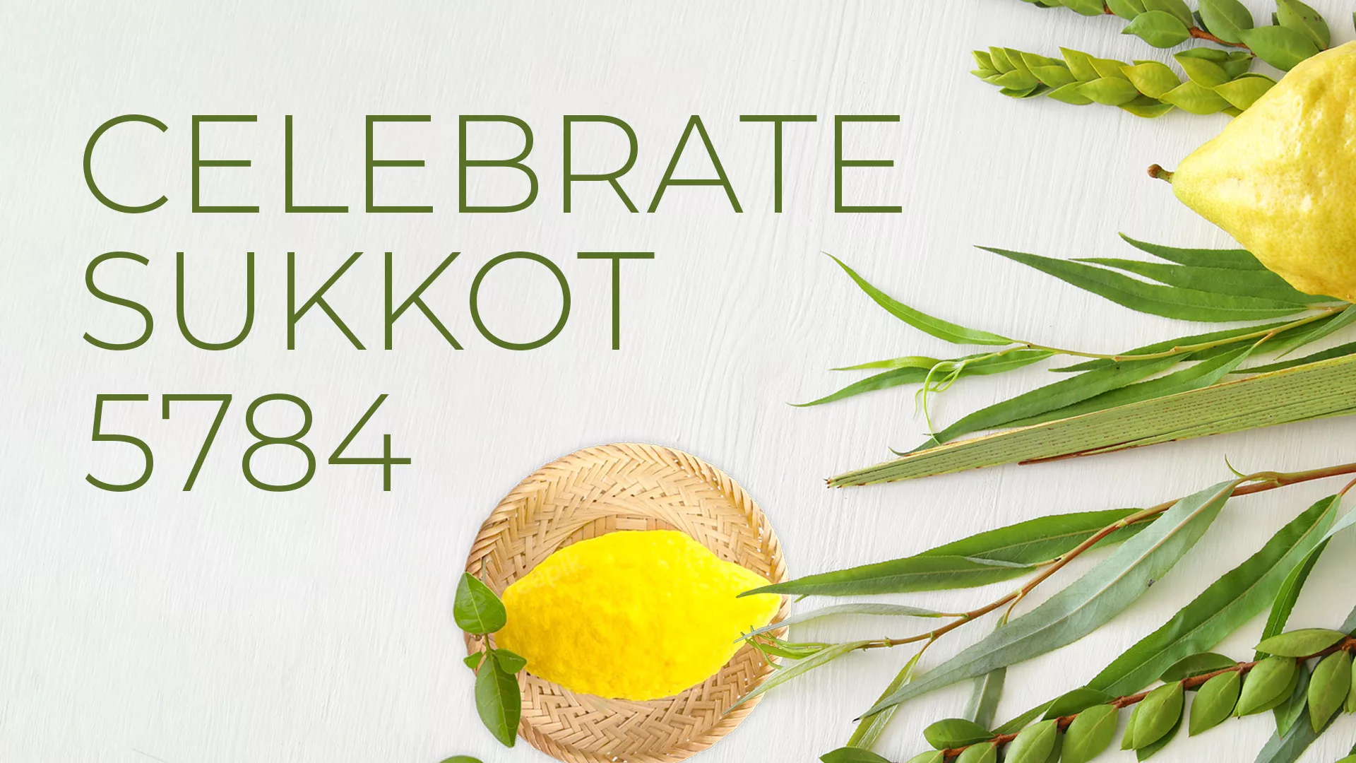 Celebrate Sukkot 5784 Lemon Banner