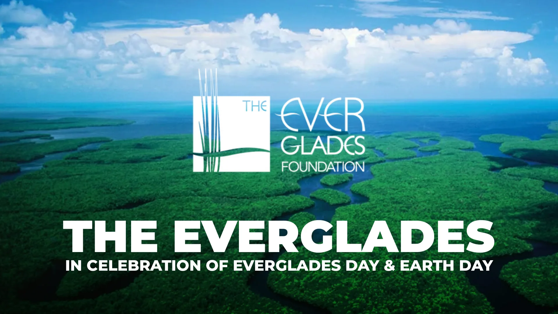 The Everglades: In Celebration of Everglades Day and Earth Day