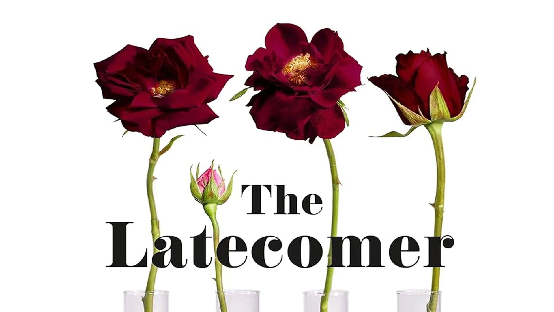 The Latecomer web banner