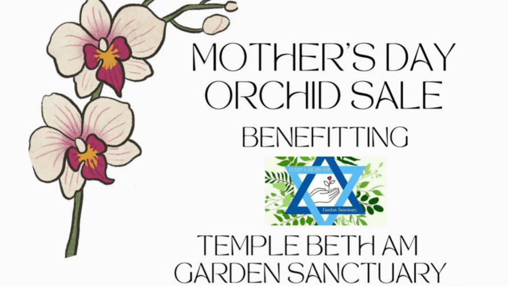 Orchid Sale Web Banner