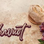 Shavuot web banner