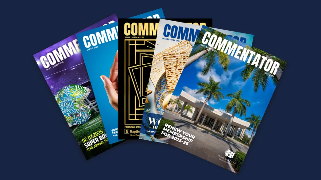 CommentatorWEB