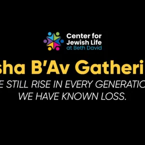 TIsha-B'Av web banner