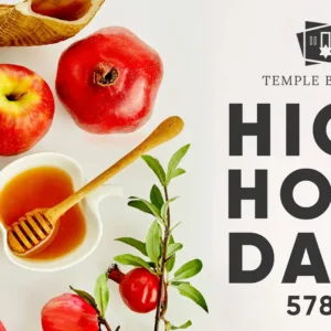 HHD web banner