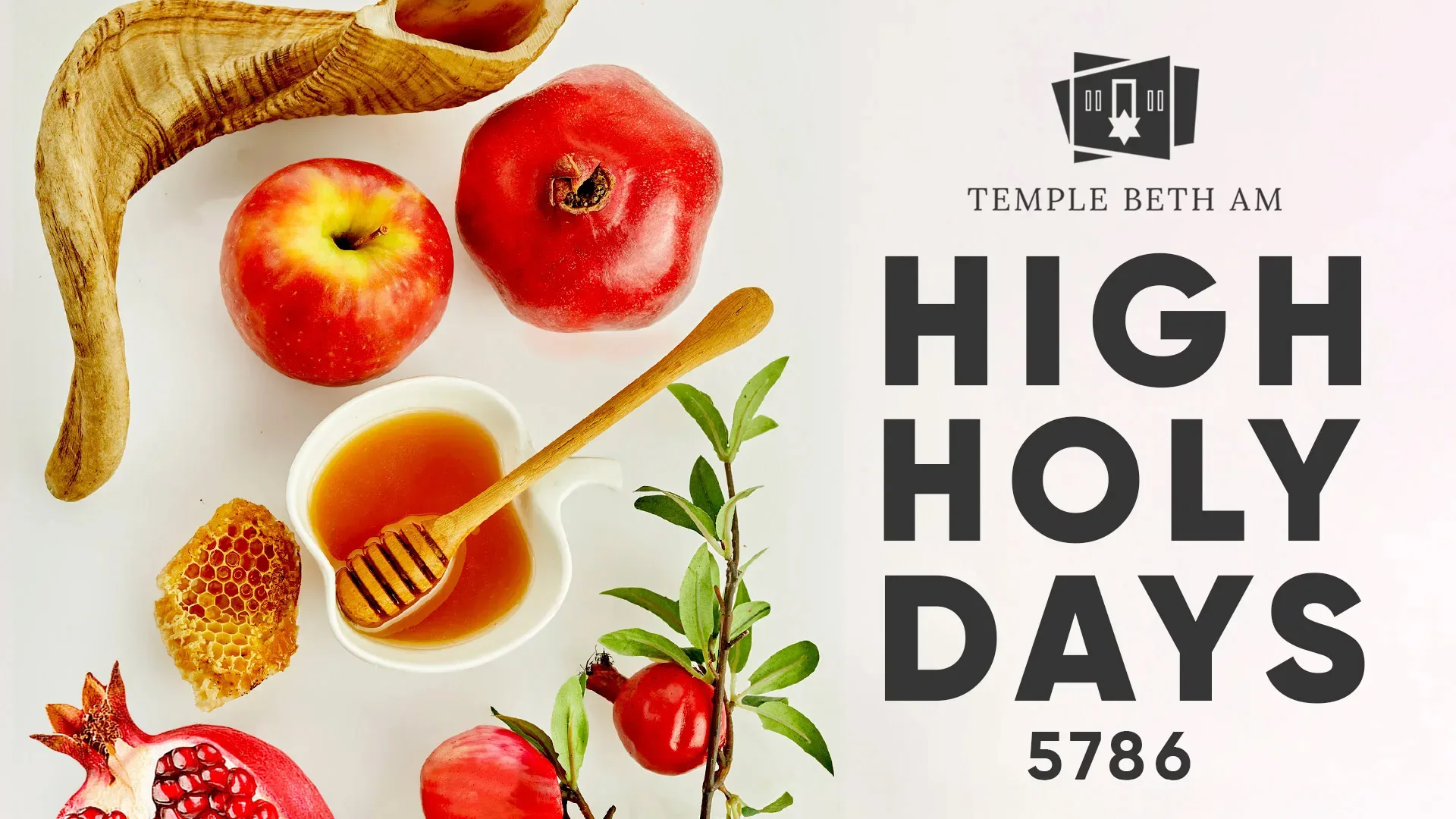 HHD web banner