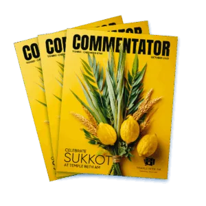 Commentator-WEB2