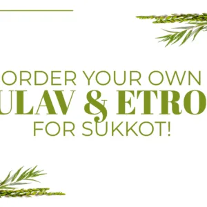 order your own lulav and etrog for sukkot web banner