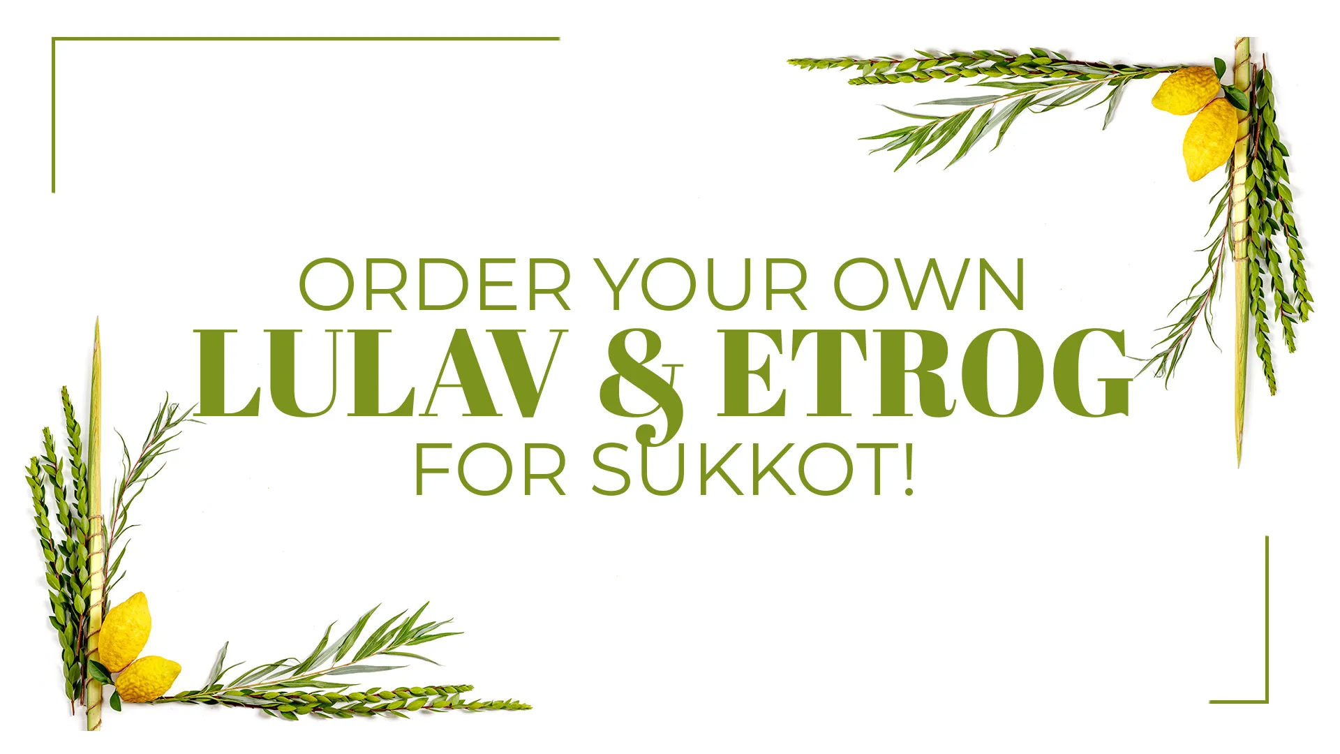 order your own lulav and etrog for sukkot web banner