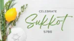 celebrate sukkot 5786 web banner