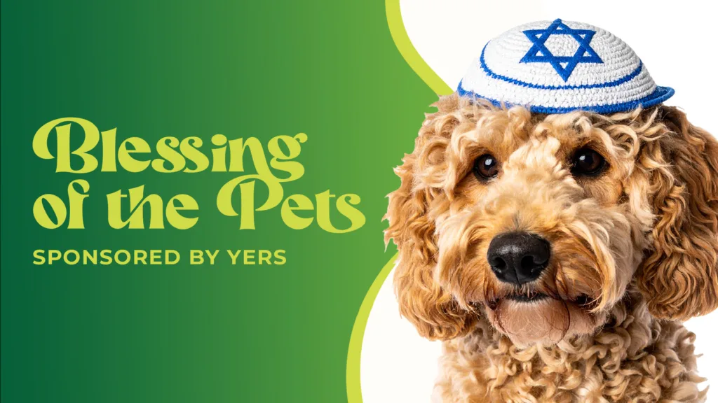 Blessing of the pets