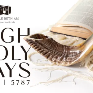 hhd yom kippur 2026 web banner