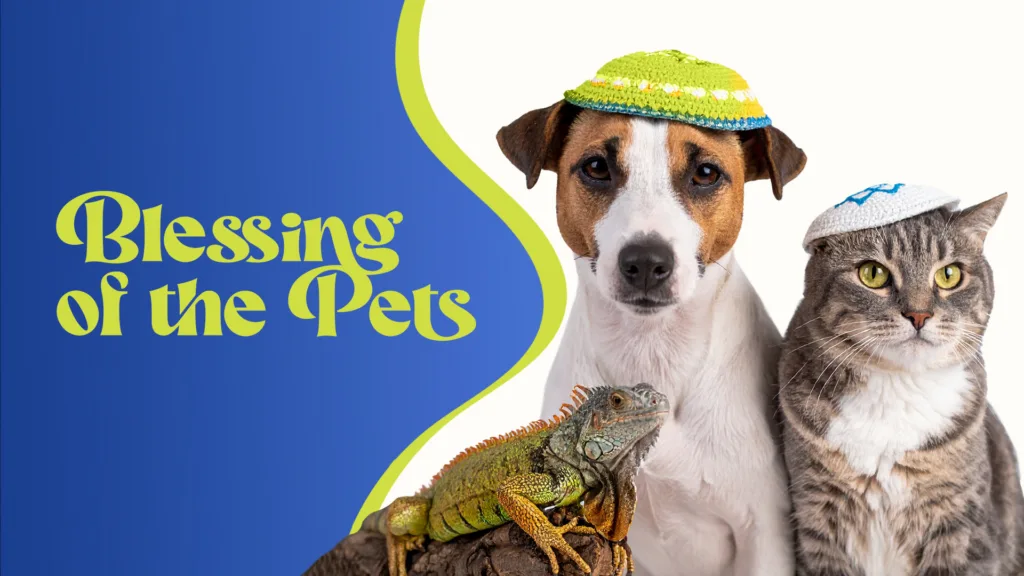 Blessing of the pets