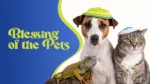 blessing of the pets web banner